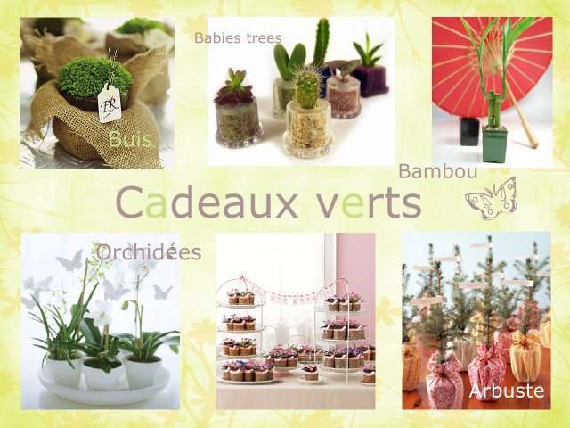   cadeaux invités mariage original plantes cactus buis bambou lucky pot de fleur orchidée arbiste sapin montagne