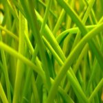 icone_nature.jpg