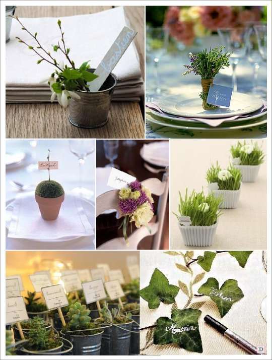 marque place mariage vegetal pot lierre herbe chat porte nom marque place mariage vegetal pot lierre herbe chat