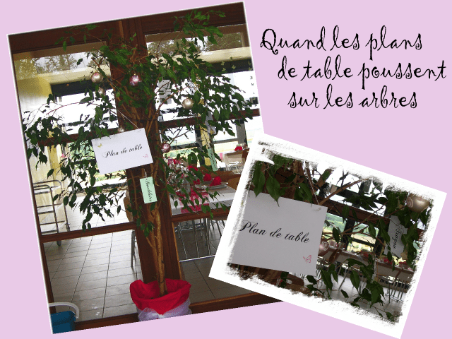  idées décorations mariage thème papillonnature champêtre  plan de table arbre