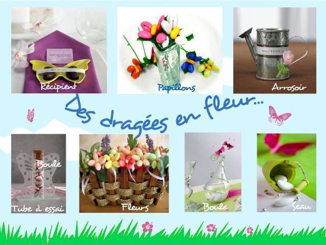 décoration mariage idées thème papillon cadeaux aux invités décoration mariage idées thème papillonnature champêtre cadeaux aux invités boîte à dragées fleur en dragées récipient plat mini tube à essai éprouverre verre seau goutte en plastique transparent arrosoir en zinc