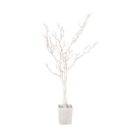 L'arbre à voeux blanc en pot L'arbre à voeux blanc en pot