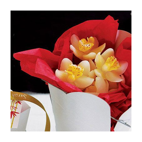 Les 2 bougies orchidée blanche et jaune (fin de série) Les 2 bougies orchidée blanche et jaune (fin de série)