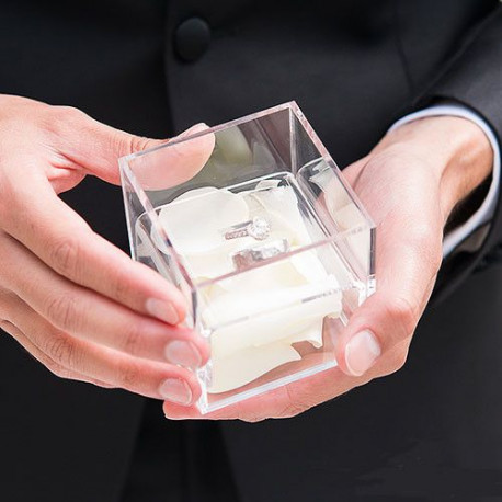 Porte alliances boite transparente