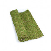 Fausse herbe Fausse herbe