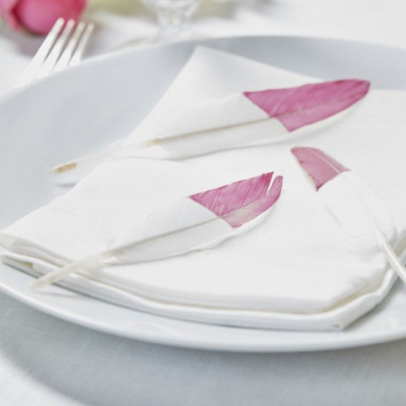 Les 10 plumes bout rose Les 10 plumes bout rose