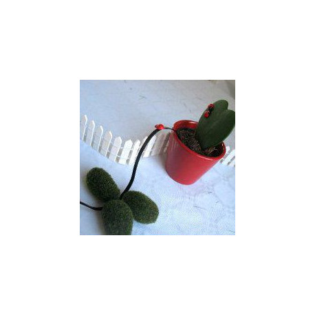 Décoration de baptême sur le thème des coccinelles Décoration de baptême sur le thème des coccinelles