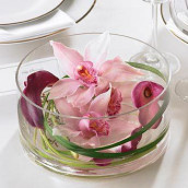 Idee Decoration Dans Un Vase De Forme Tulipe Idee Decoration Dans Un Vase De Forme Tulipe