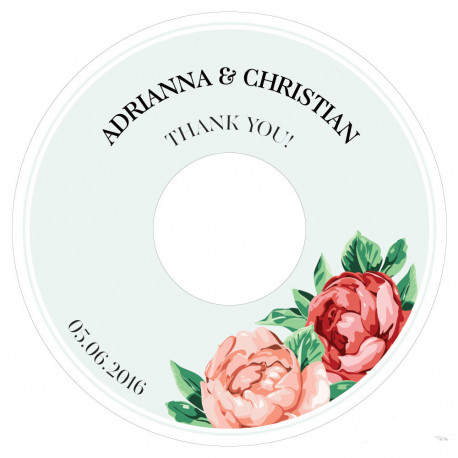 Les 6 disques pour cd thé rose Les 6 disques pour cd thé rose