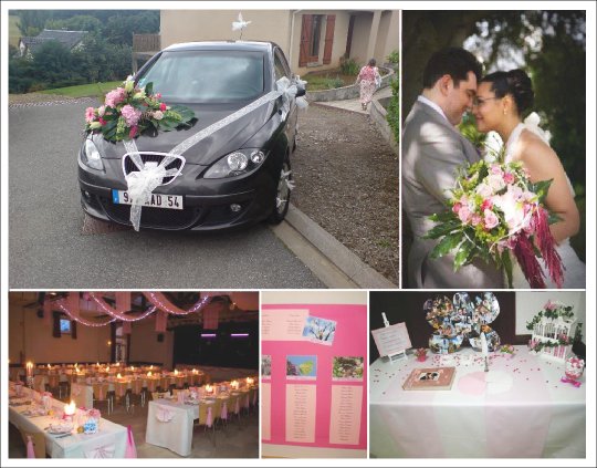 decoration_mariage_rose_fuchsia_papillon decoration_mariage_rose_fuchsia_papillon
