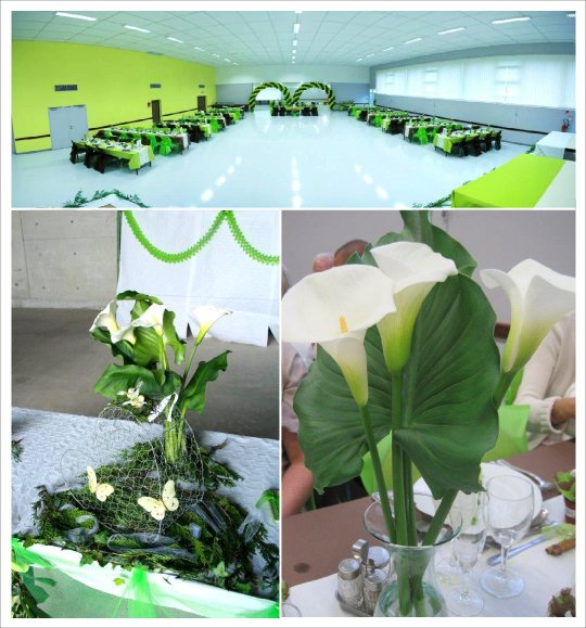 decoration mariage vert anis chocolat urne coeur grillage decoration mariage vert anis chocolat urne coeur grillage
