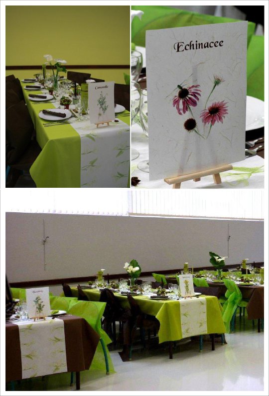 La Decoration D Elodie Et De David Les Plantes Medicinales En Chocolat Couleur Mariage
