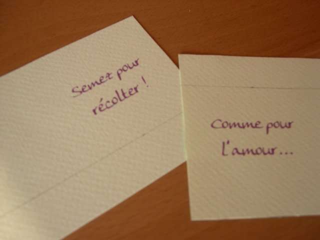   réalisation  faire partmariage thème champêtre  semencier graines semences sachet