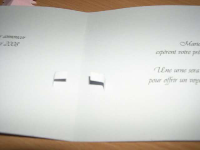 réalisation modèle exemple faire part invitation mariage thème papillons nature champêtre réalisation modèle exemple faire part invitation mariage thème papillons nature champêtre loisirs créatifs bricolage faire soi même fil de fer envol fleur en relief