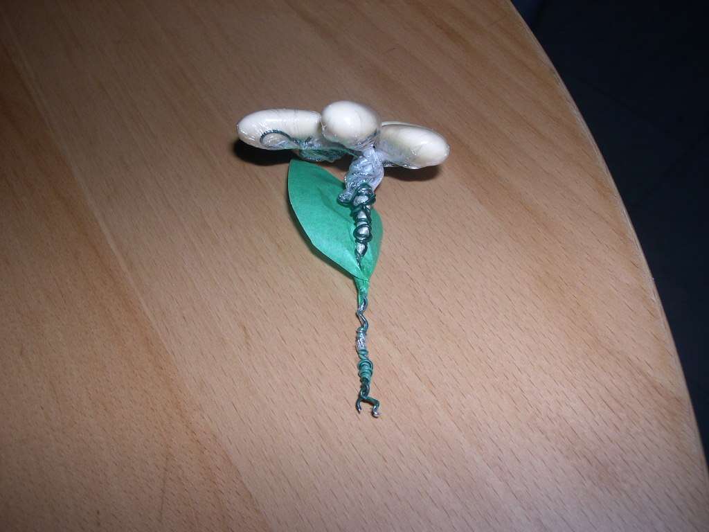 réalisation fleurs en dragées réalisation fleurs en dragées tutoriel fiche technique