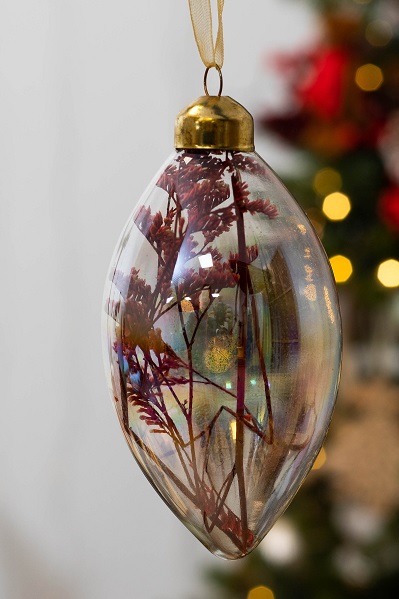 herbe séchés pour boule de noel