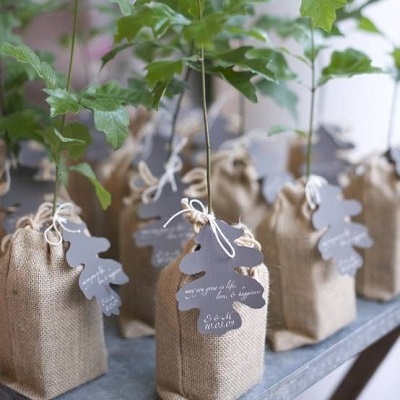 cadeau invités mariage automne arbuste 