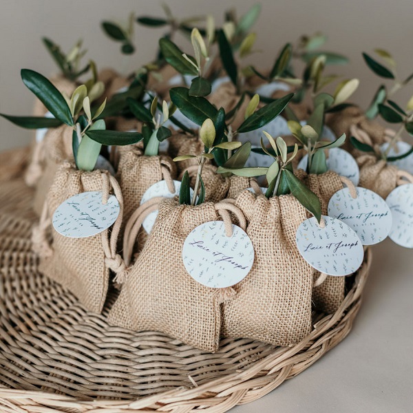 plant arbre cadeau invite