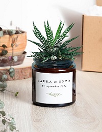 pot succulente cadeau invité mariage vert