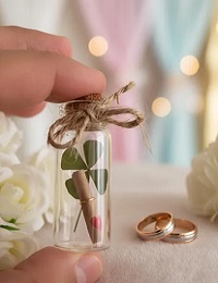 graines de trefle mariage cadeau invité