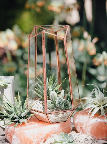 terrarium centre de table mariage desert chic