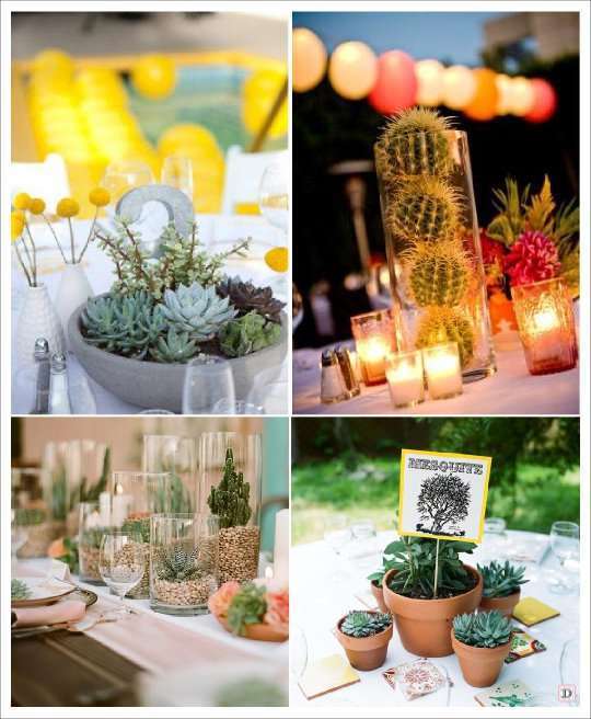 fleur mariage centre de table cactus plante grasse