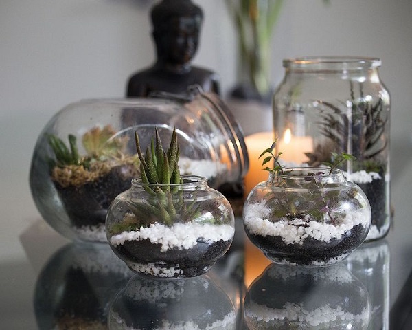 terrarium a offrir mariage