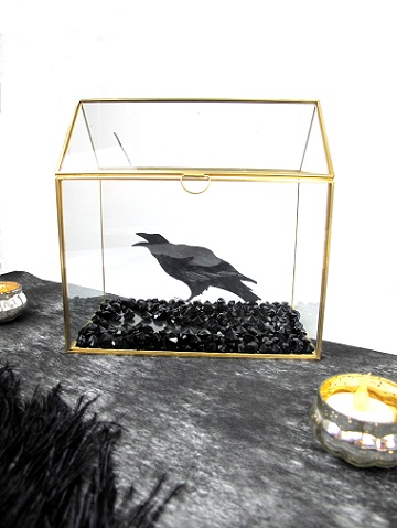 terrarium avec silhouette corbeau enfermé decoration halloween