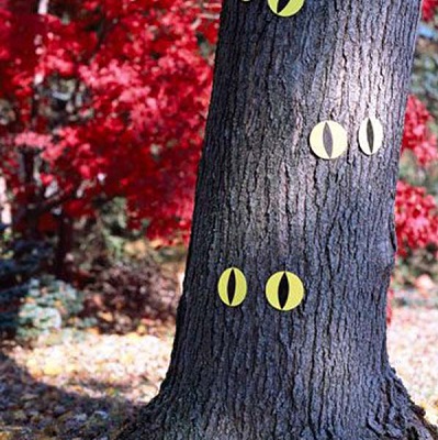 yeux-sur-arbre-decoration-exteieure-halloween