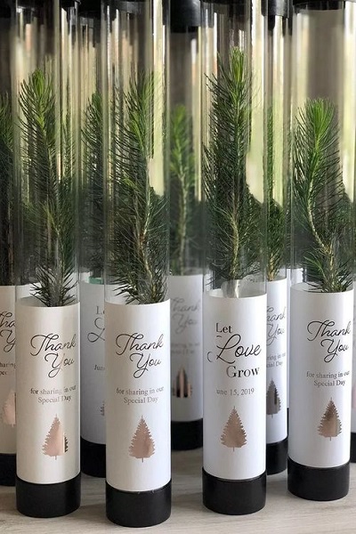 idee-cadeau pour invités theme mariage hiver-sapin