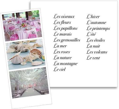 liste thème mariage nature champêtre fleurs saison automne hiver été montagne mer marais papillons