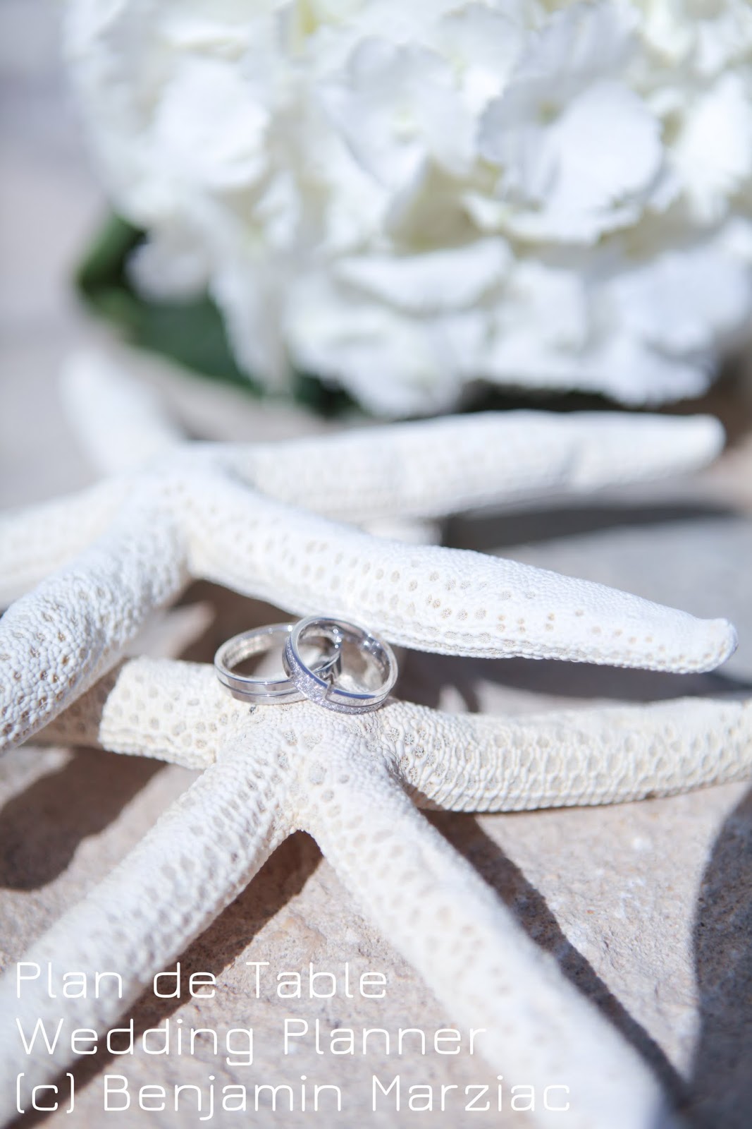 decoration mariage mer alliances etoile de mer decoration mariage mer alliances etoile de mer